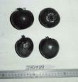 Click for 1 image(s) for this accession. FRUIT